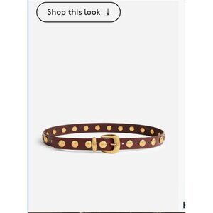 Madewell Brown Belt with Gold Accents